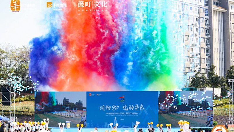 目前，抖音媒介投放服务商主要分为以下几类：